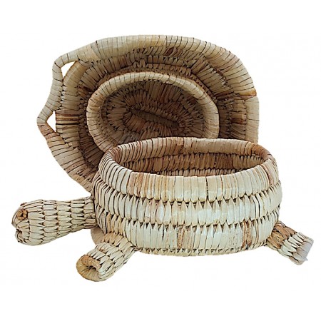 Boîte tortue jacinthe d'eau