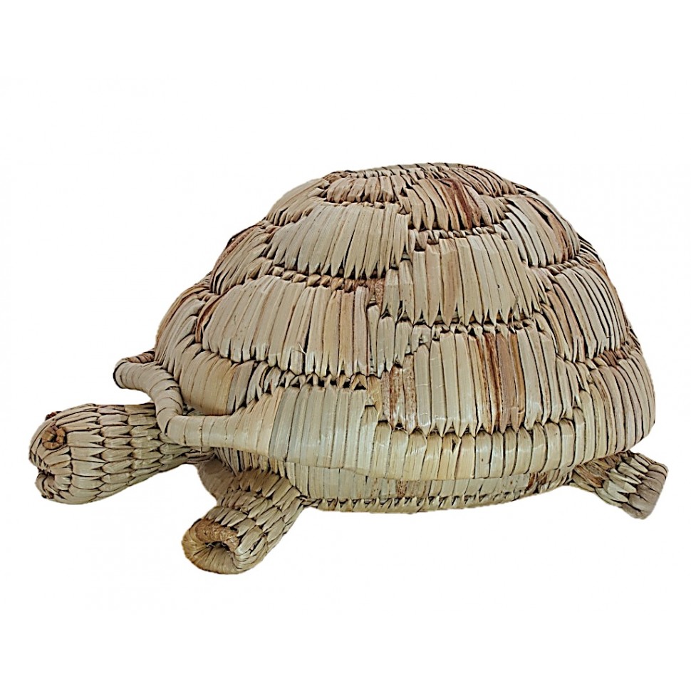 Boîte tortue jacinthe d'eau