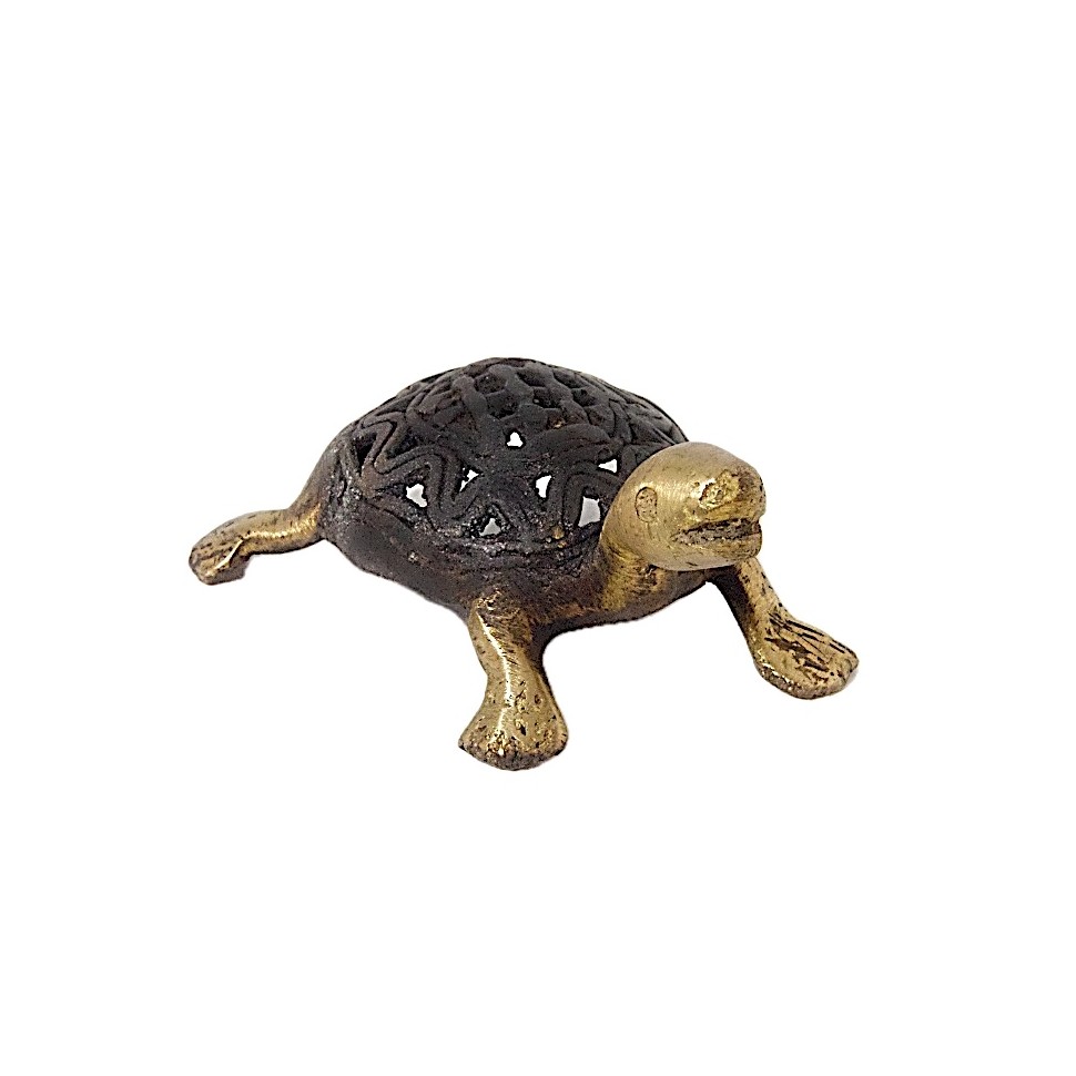 Tortue bronze
