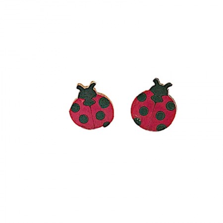 Clous d'oreilles coccinelles en calebasse