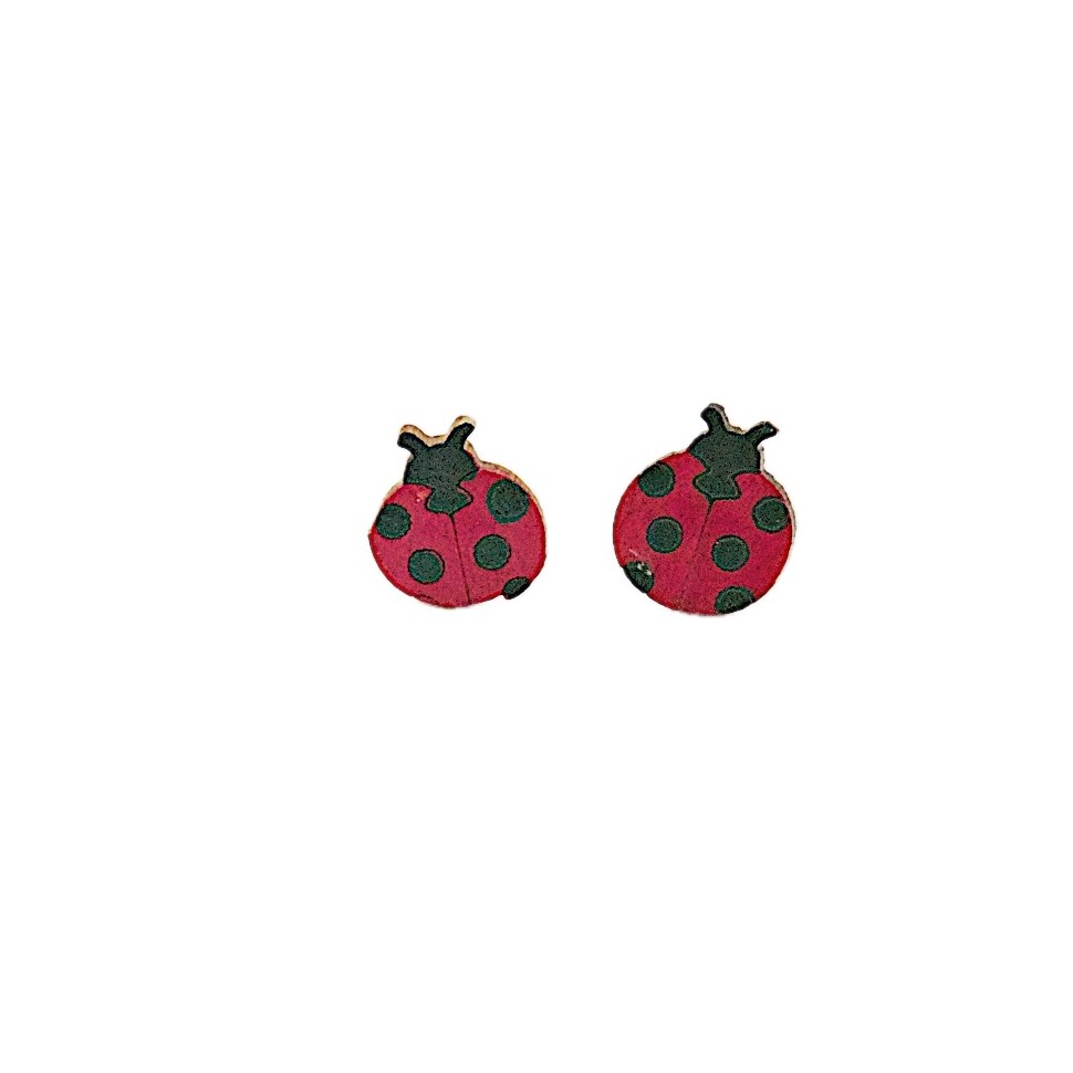 Clous d'oreilles coccinelles en calebasse
