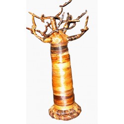 Baobab 40 cm