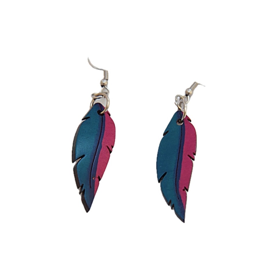 Boucles d'oreilles plumes en calebasse