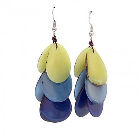 Boucles d'oreilles grappe tagua bleu et vert